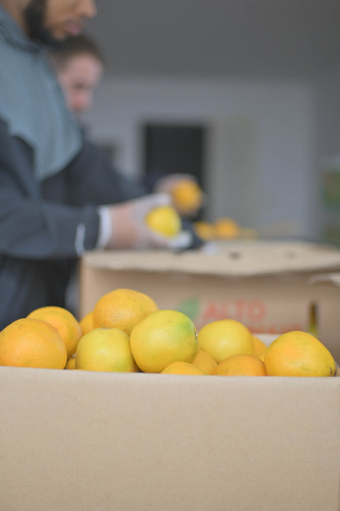 Sinaasappelen (Valencia) (biologisch)