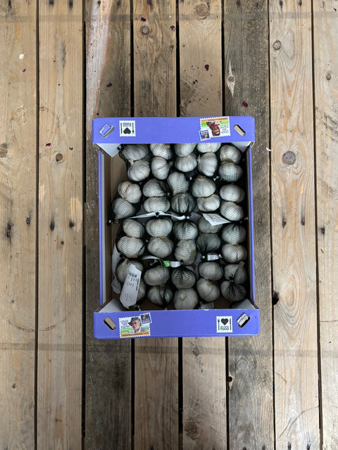 Knoflook (biologisch)