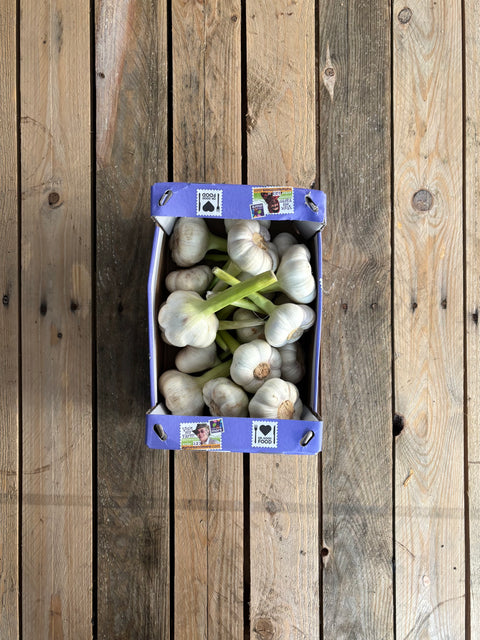 Verse knoflook (biologisch)