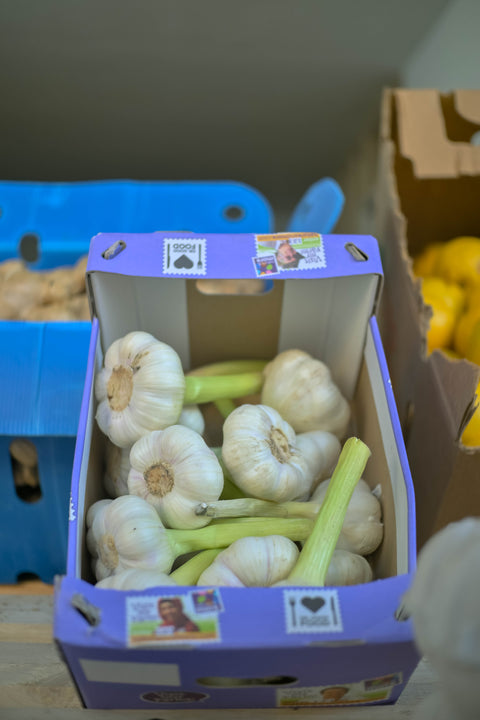 Verse knoflook (biologisch)