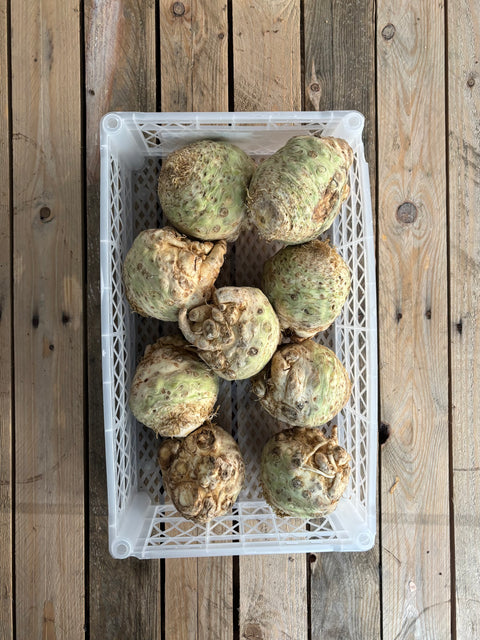 Knolselderij (biologisch)