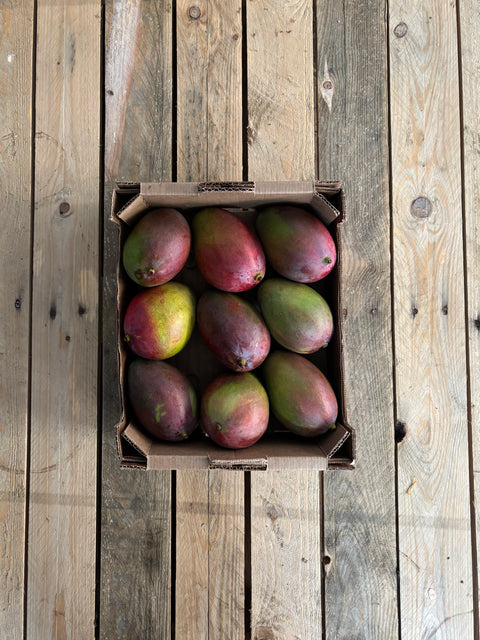 Mango (biologisch) (per stuk)