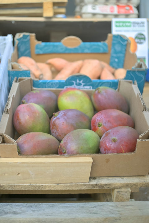 Mango (biologisch) (per stuk)