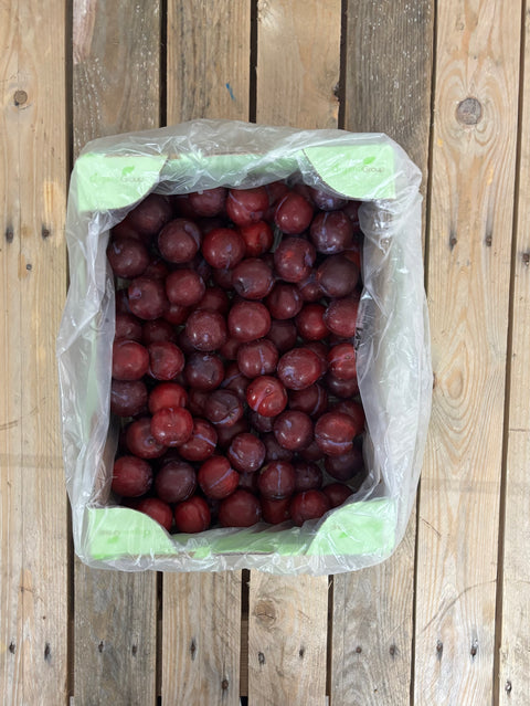 Pruimen (biologisch)