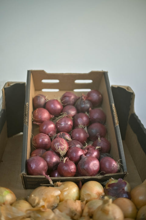 Rode uien (biologisch)