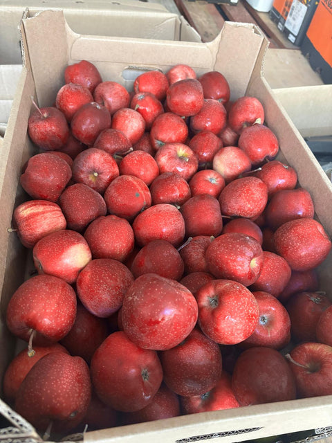 Appels Royal Gala (biologisch)