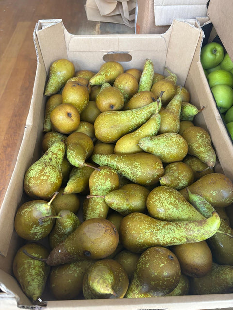 Peren Conference (biologisch)