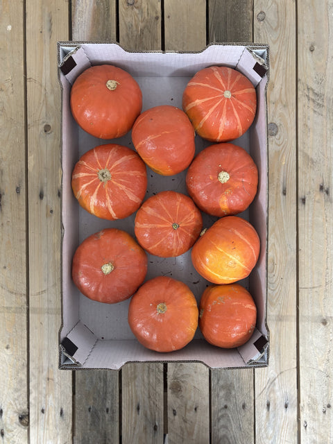 Pompoen 1 KG (biologisch)