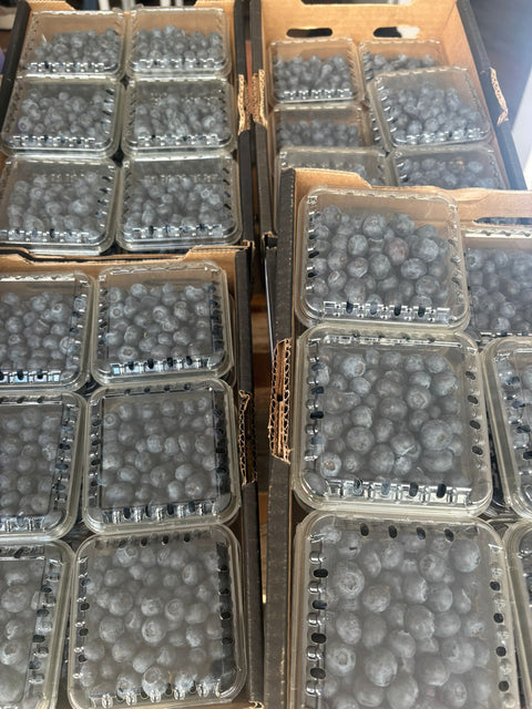 Blauwe bessen (biologisch)