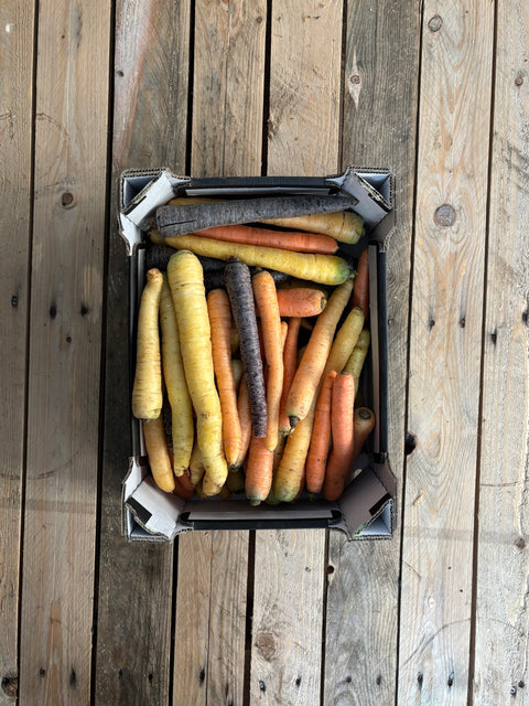 Wortelen mixed colour (biologisch)