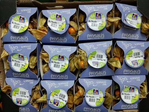 Physalis (biologisch)