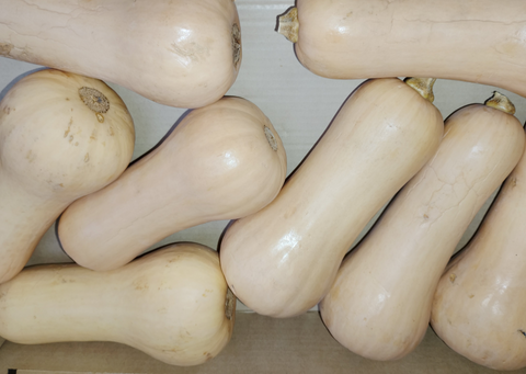 Butternut Pompoen 1 KG (biologisch)
